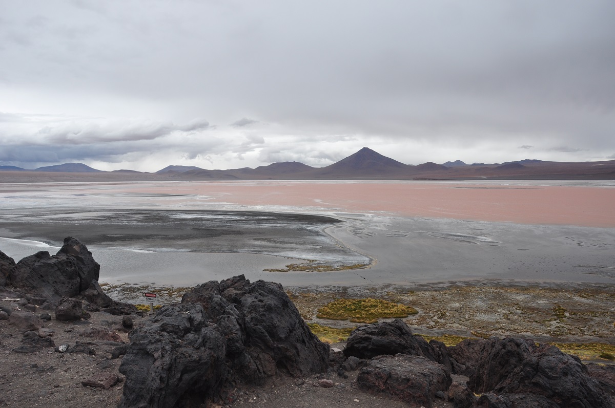 laguna Colorado w Boliwii