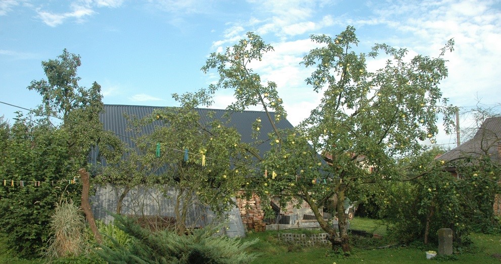 stodoła na sadzie