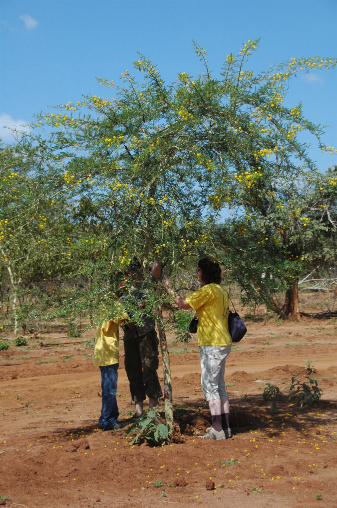 2008 Etiopia Dolina Omo Hamarowie