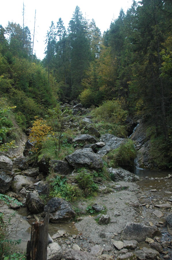 potok Kamienka