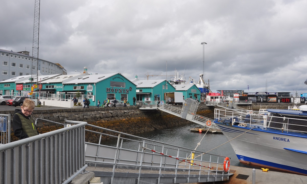 port Reykjavik