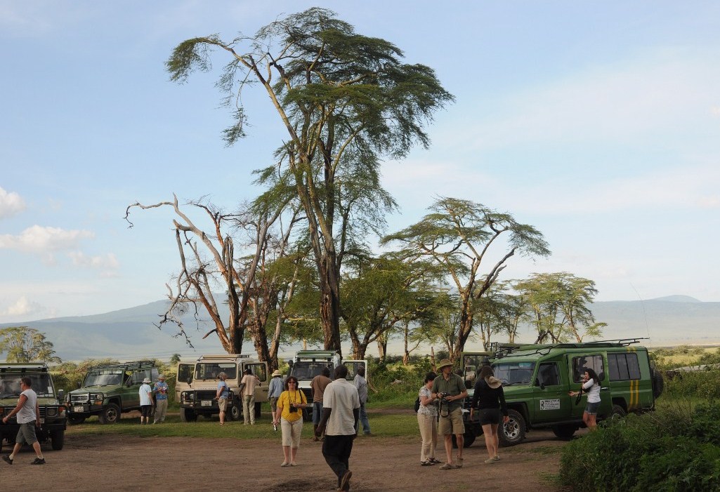 Ngorongoro- piknikowe dla turystów