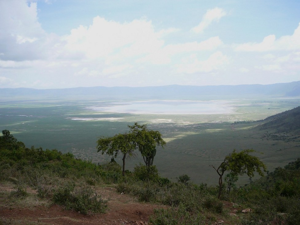 Ngorongoro w Tunezji