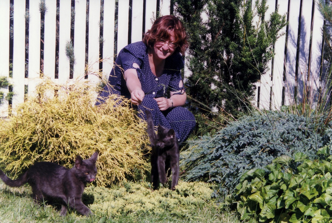 kotki ze mną w ogródku