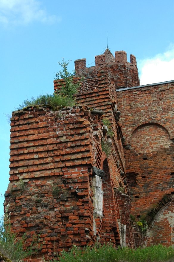 Radzyniu Chełmiński - mury