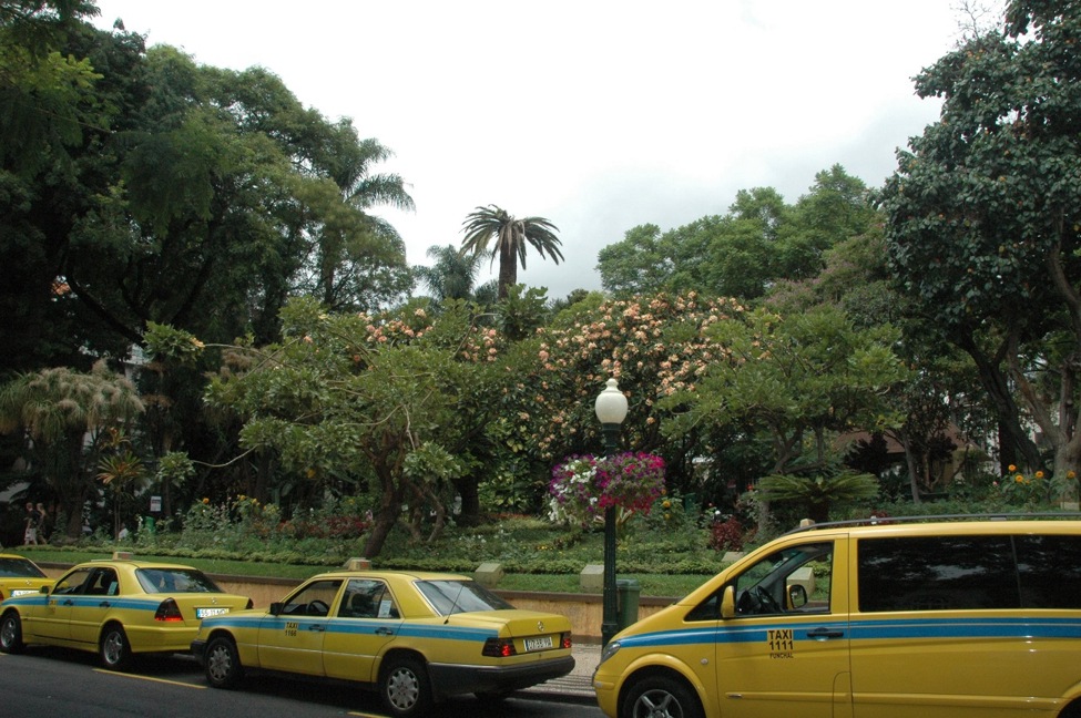 Funchal - miasto ogrodów