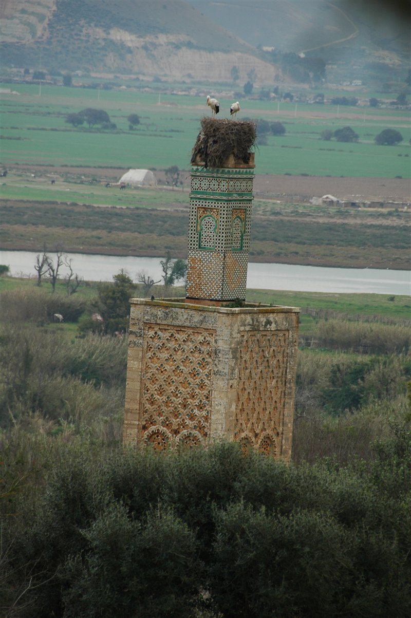 boćki na minarecie