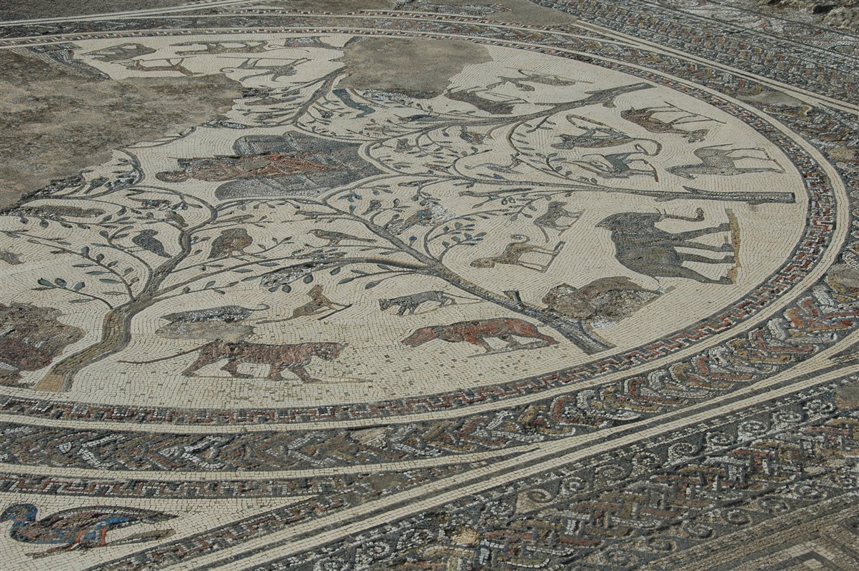 mozaika rzymska w Volubilis