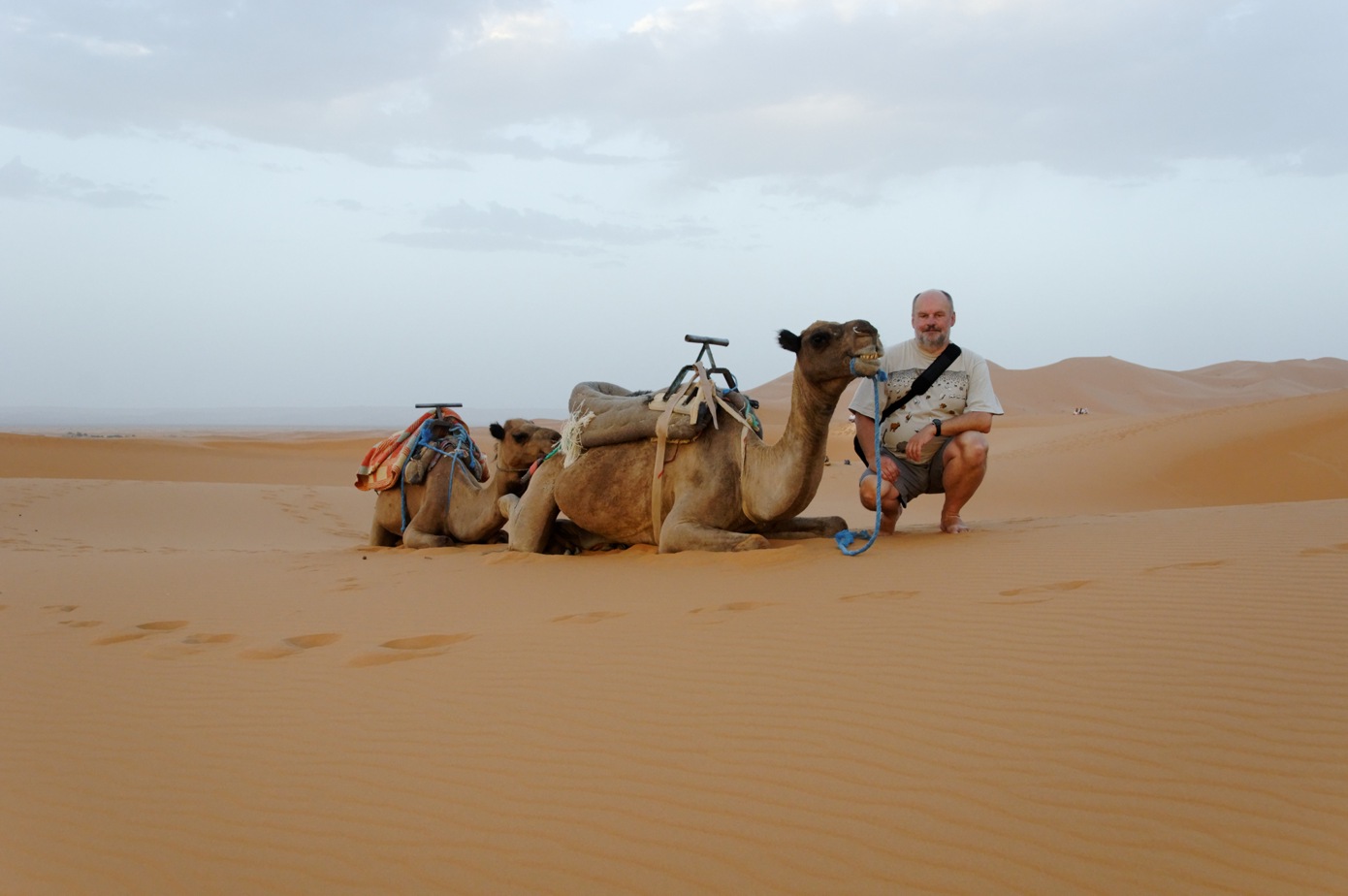 Sahara - Staś z wielbłądami