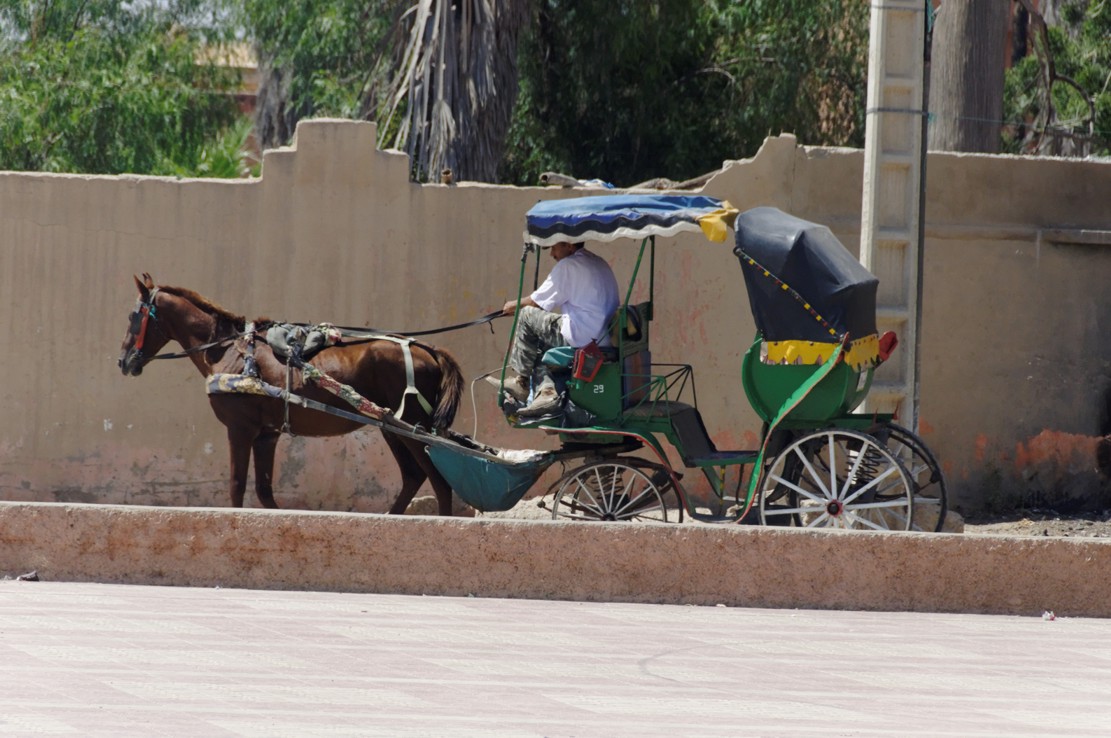 Maroko - Konna taksówka