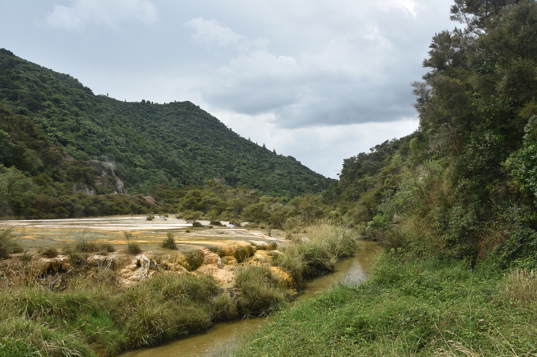 jezioro z wrzątkiem dolina Waimangu