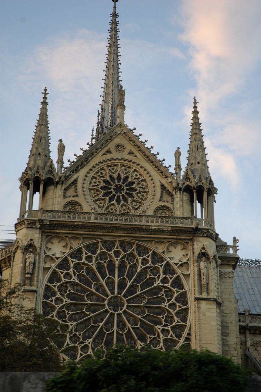 foto - rozeta katedry