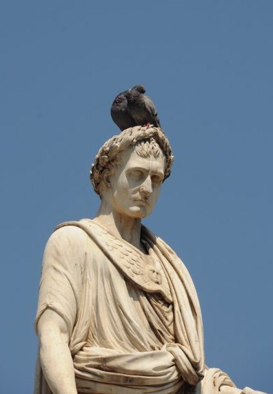 Napoleon z gołębiem