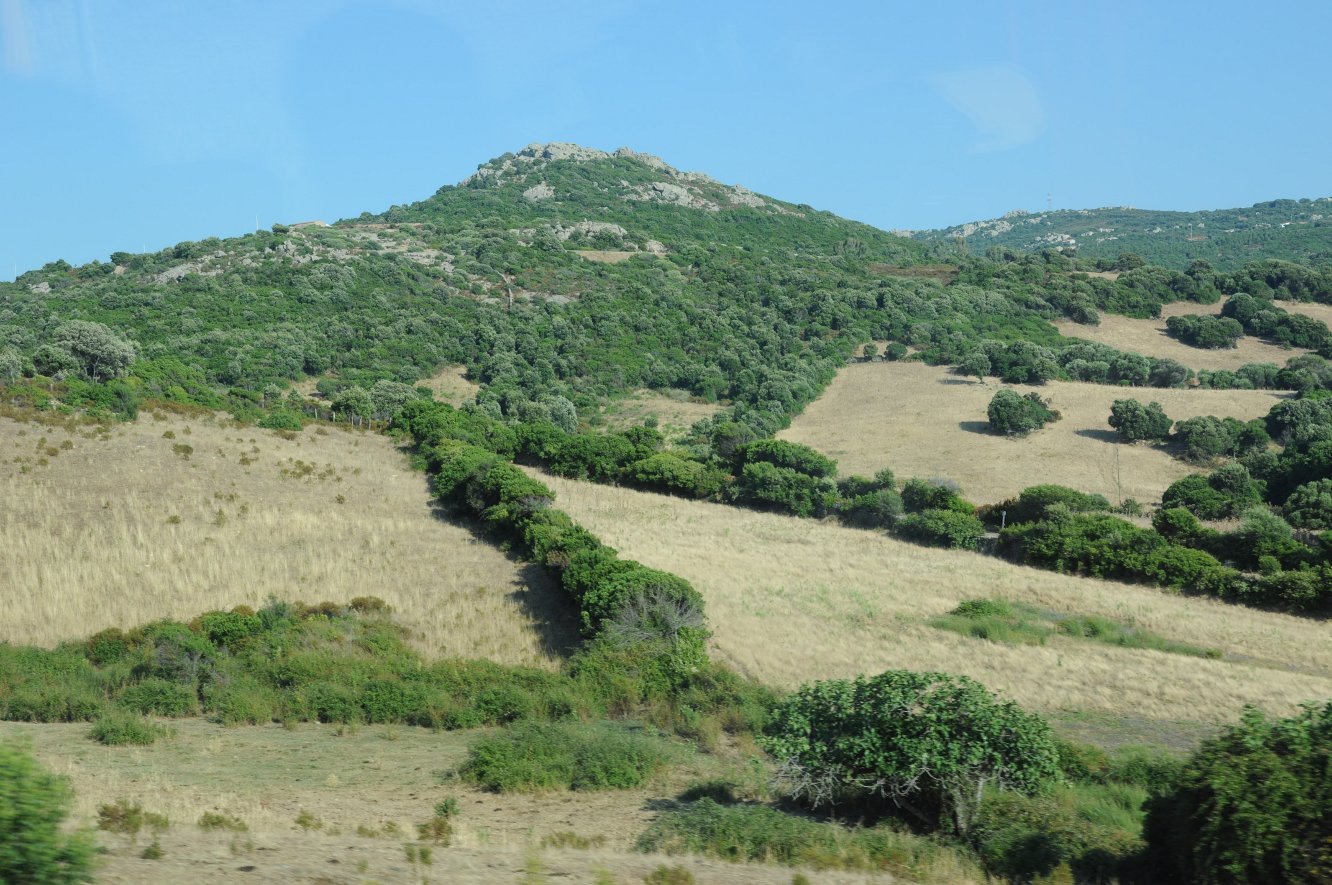 Krajobraz Gallury