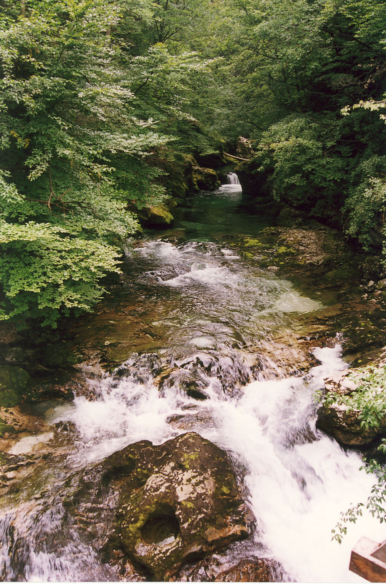 potok na Słowenii