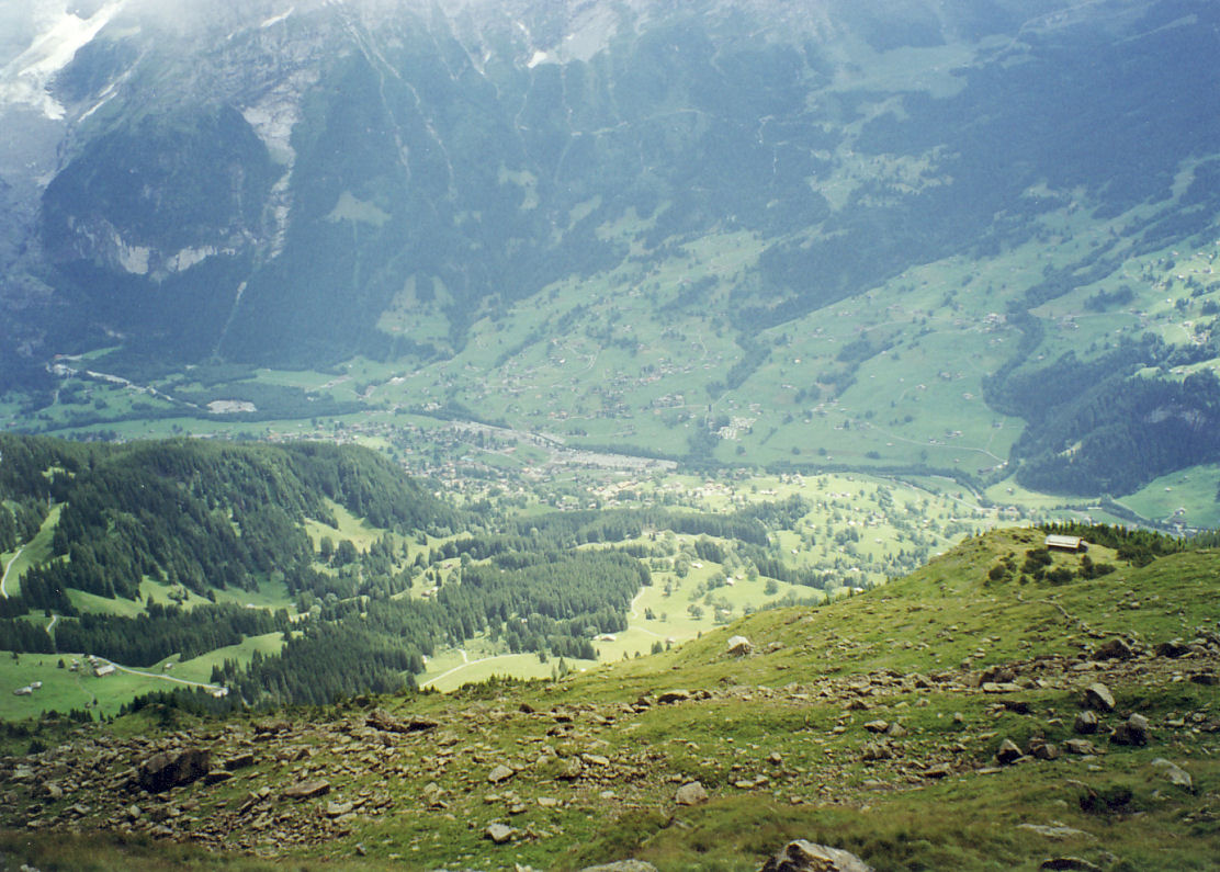 Dolina Grindelwaldzka