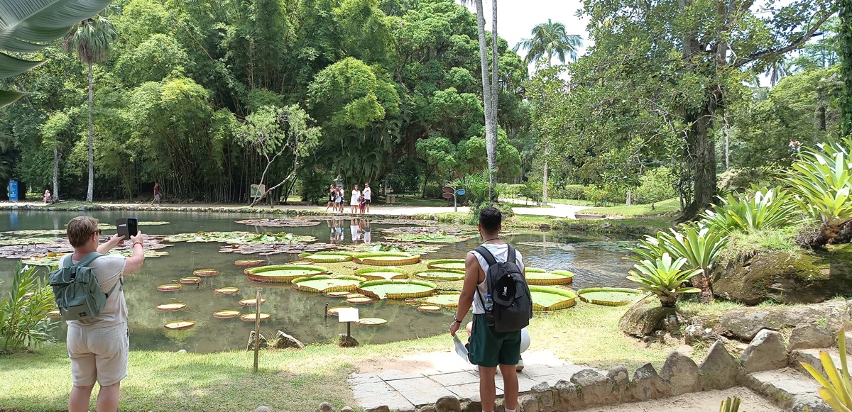 ogród botaniczny
