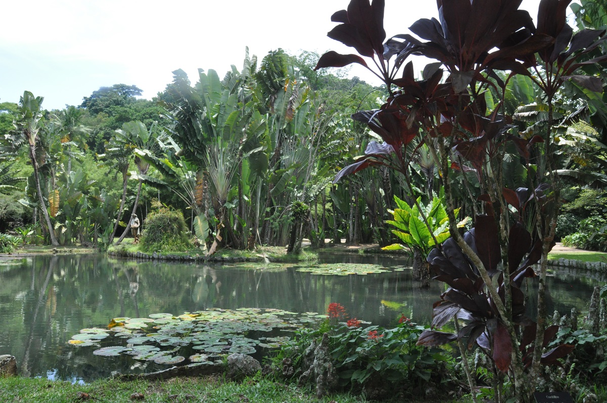 ogród Rio de Janeira