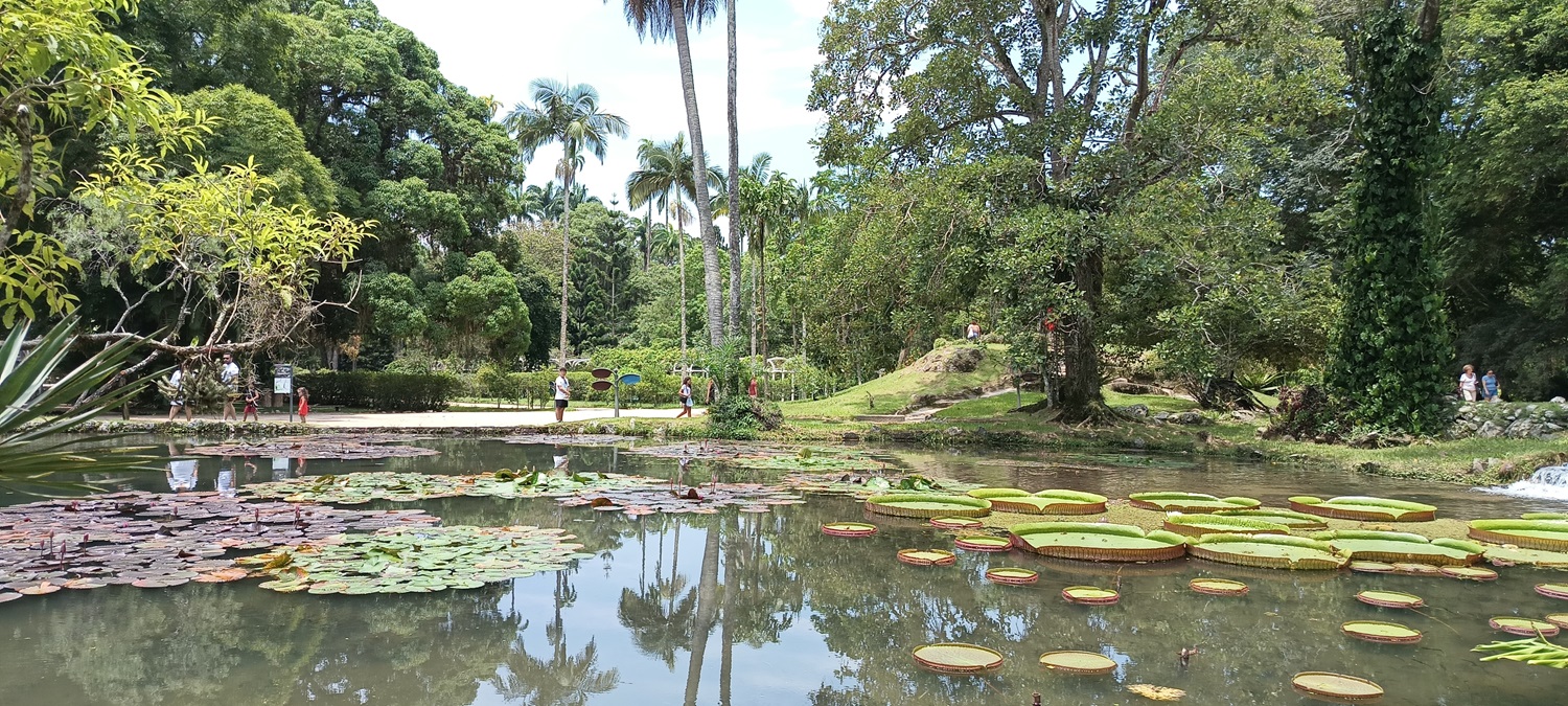 Ogród botaniczny w Rio