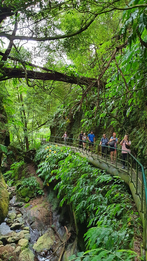 Solisci - treking na Azorach