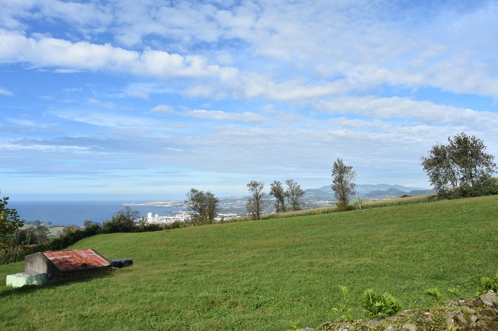 pejzaż