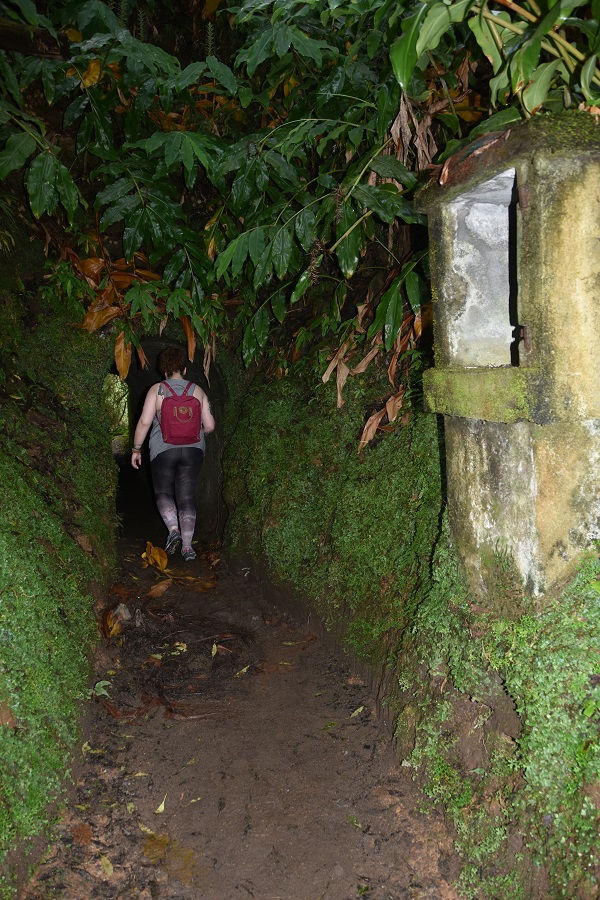 tunel 2