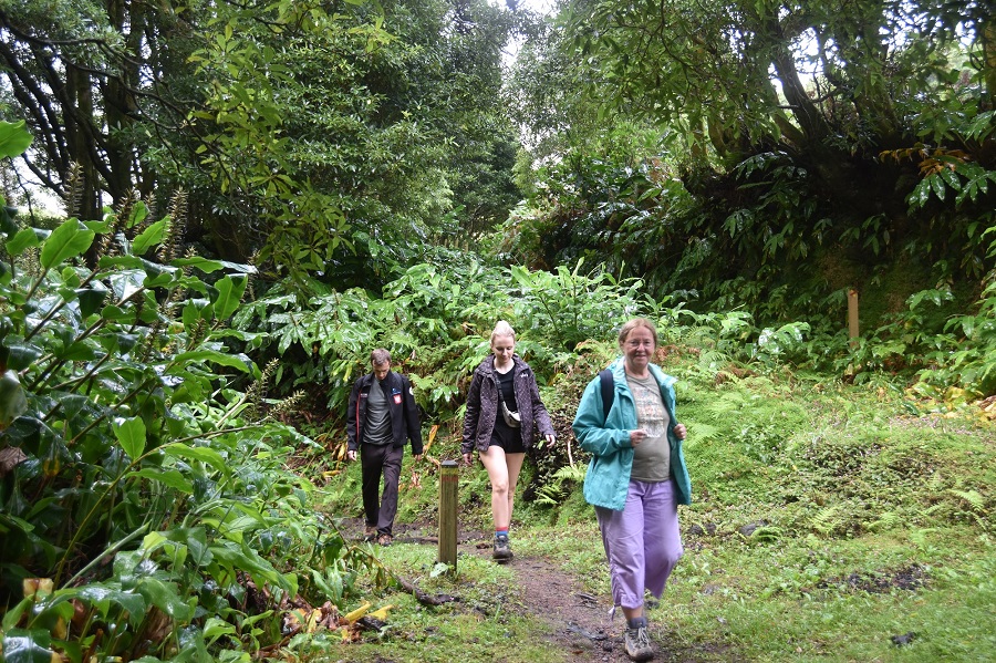 trekking na Azrach