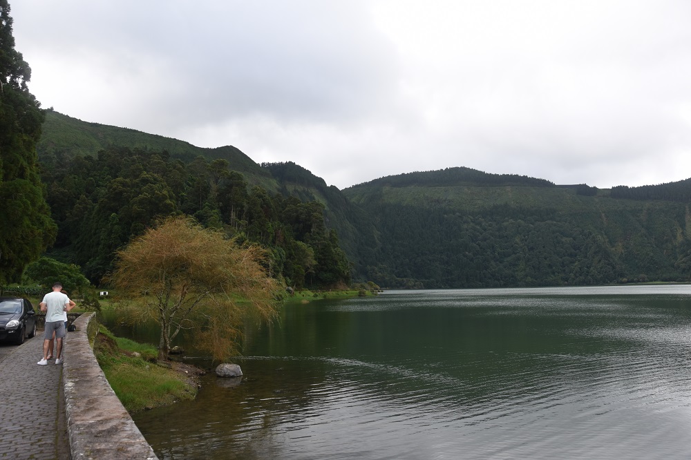Sete Verde