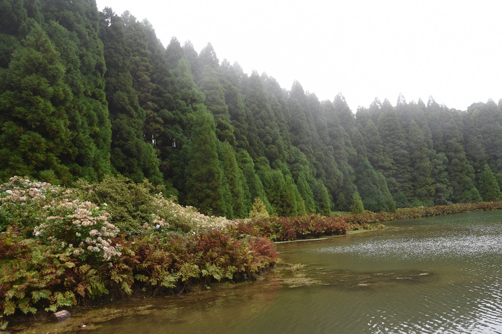 Lagoa do Canario Azory