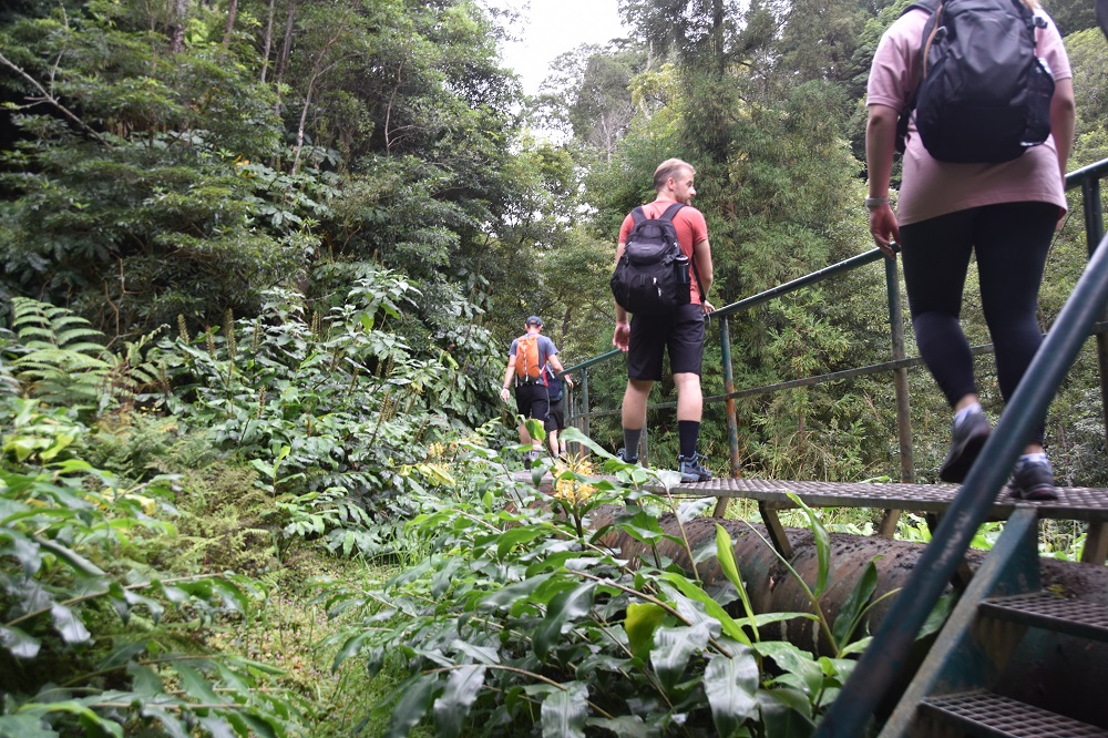 ciekawy treking