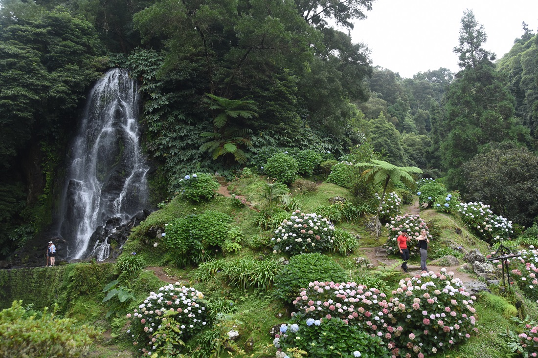 piekny park