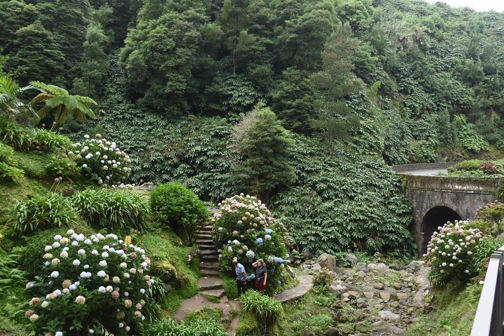park na wyspie Sao Migeul