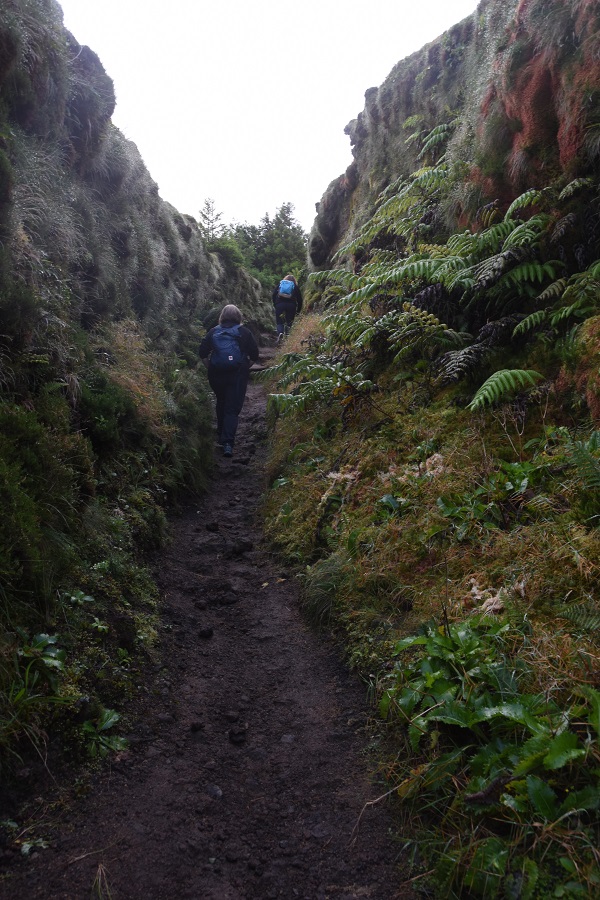 trekking w Sere Cidades
