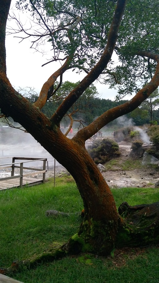 Azory - las Furnas /