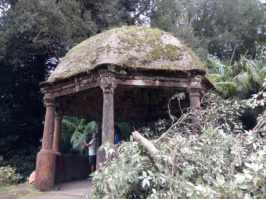 pawilon