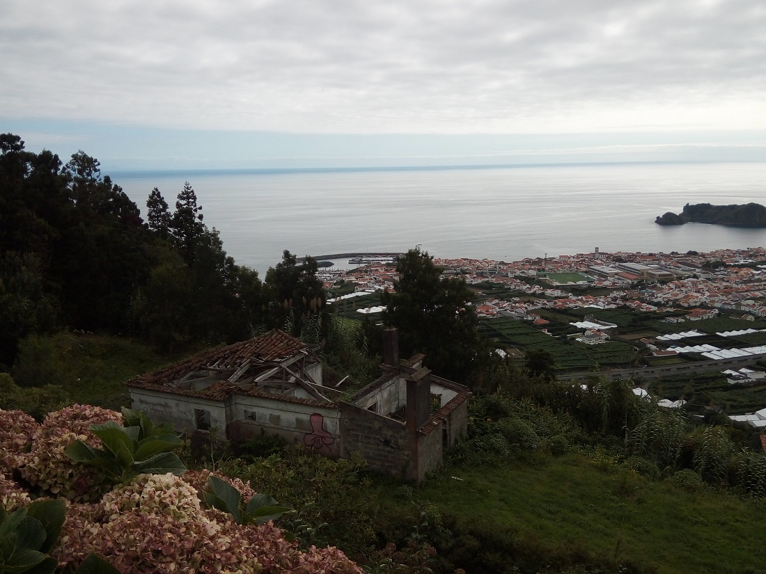 widok na ocean