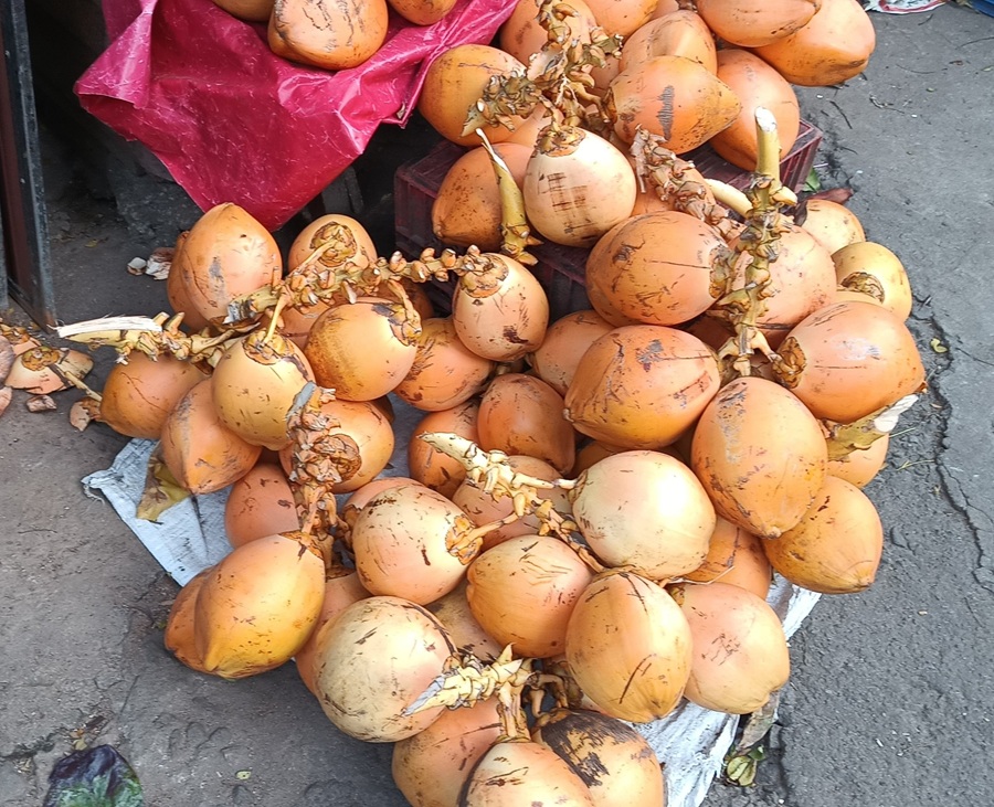 kokosy
