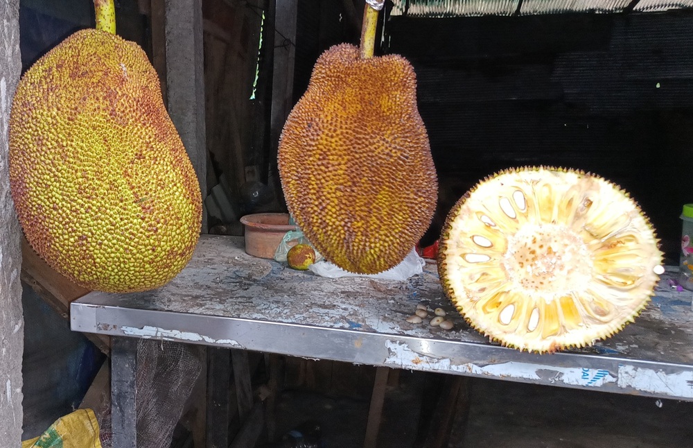 durian