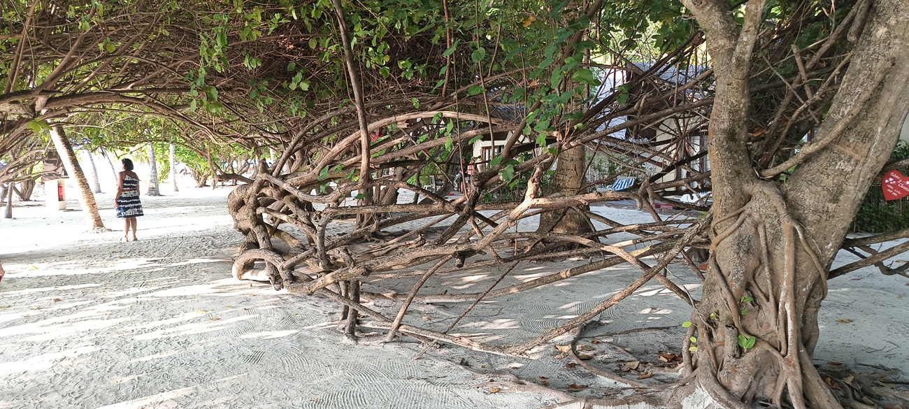droga na plażę Malediwy