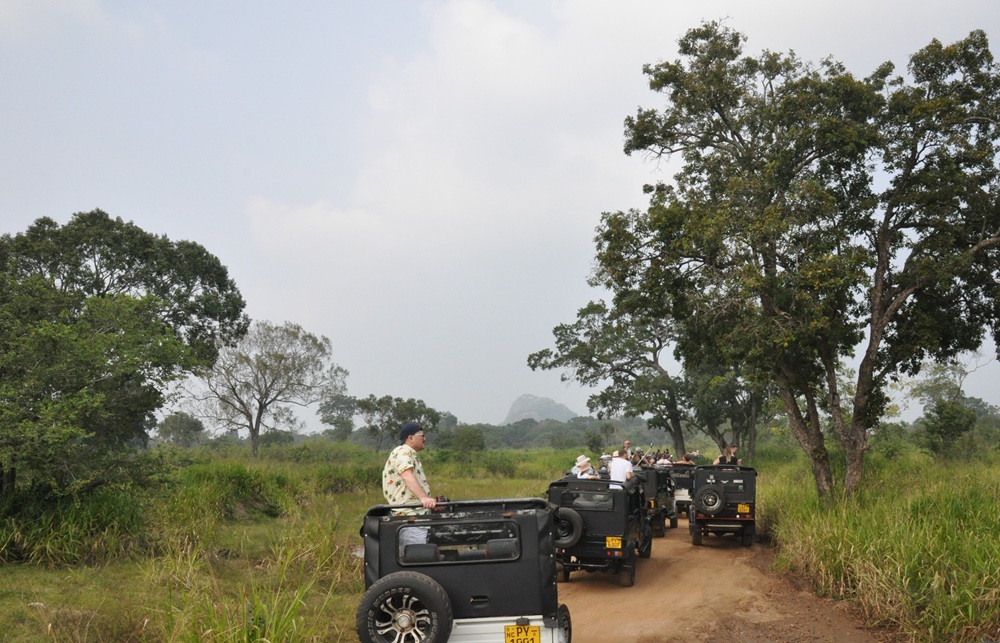 safari Minnerija