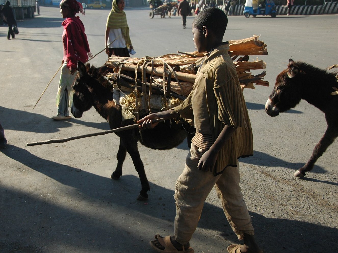 na bazarze w Etiopii -  osiołek