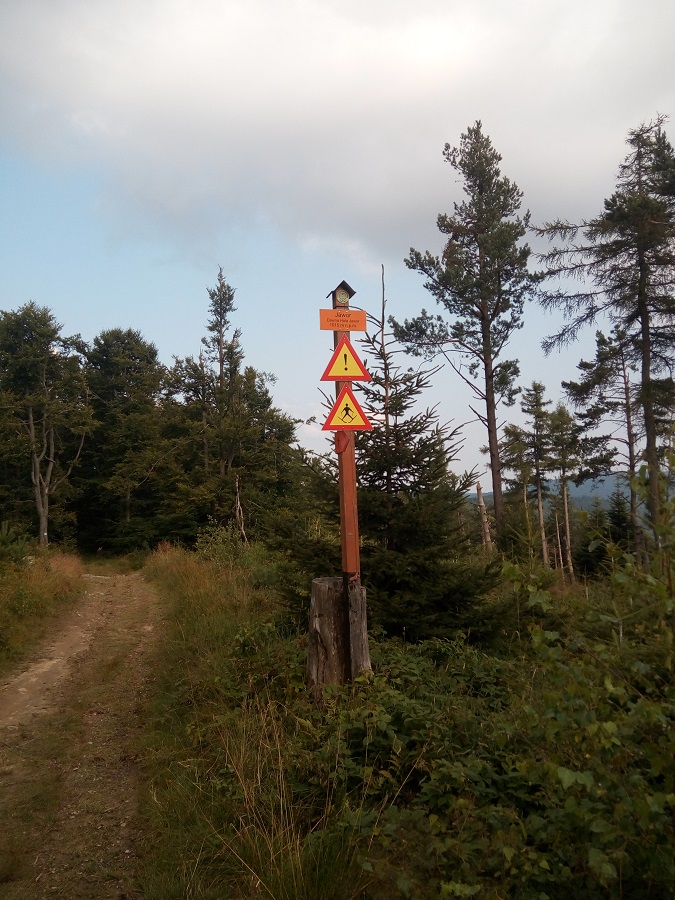 szlak narciarski