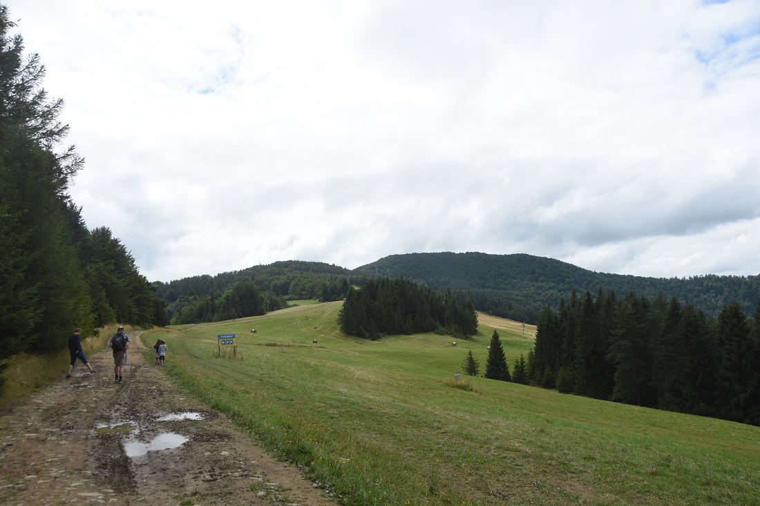 Wyżne Młaki