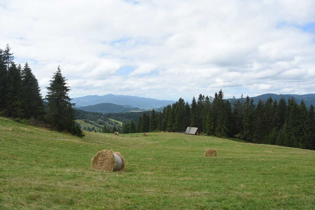 na wyciągu