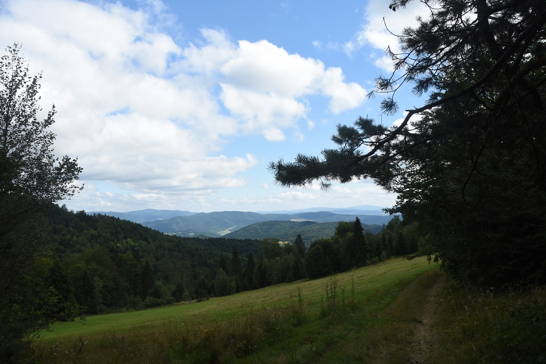 panorama beskidzka