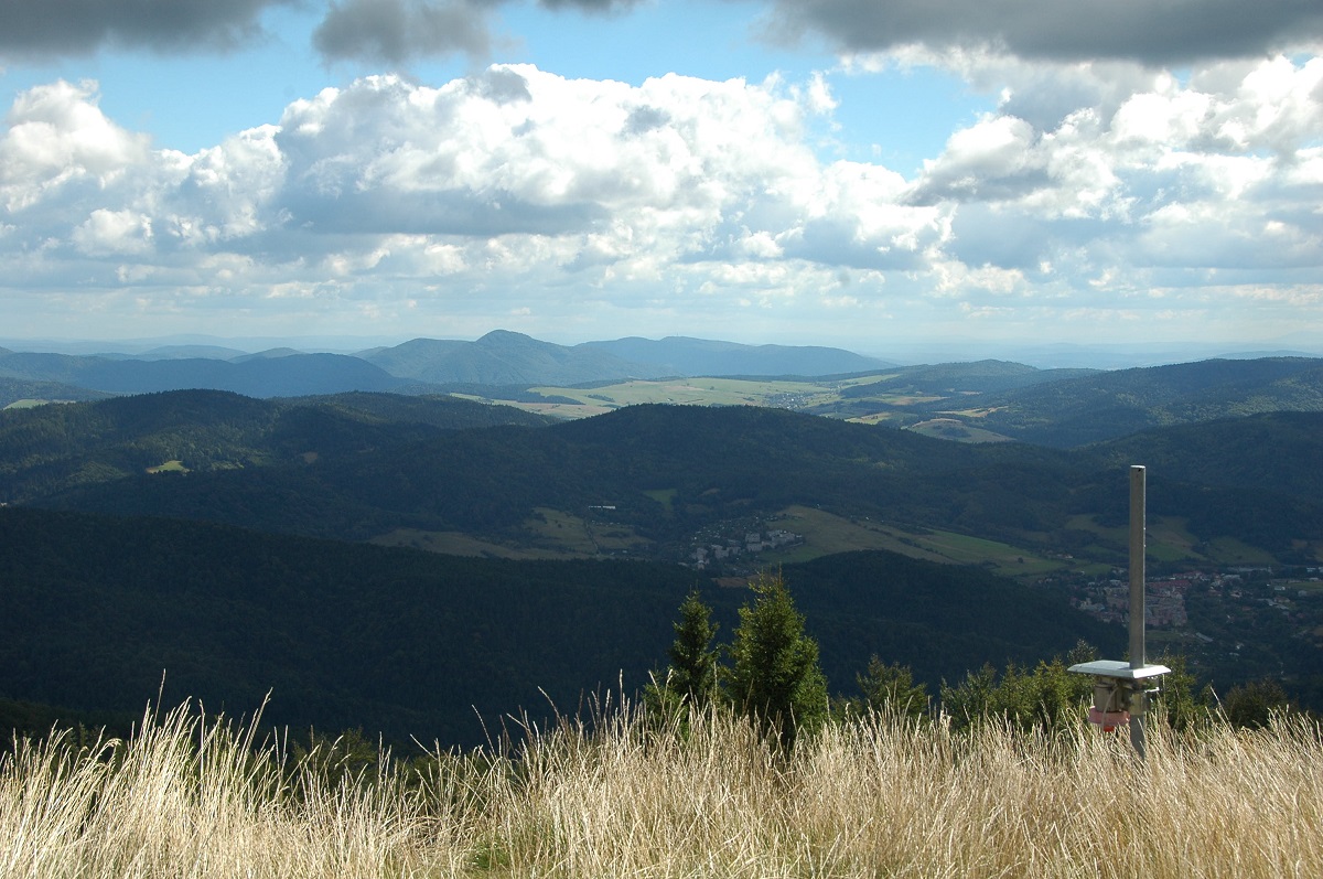 Krynica w dole