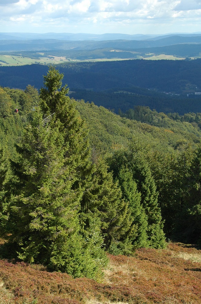 widok z Jaworzyny