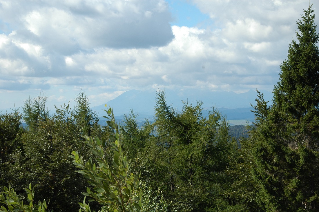 widok na zachód