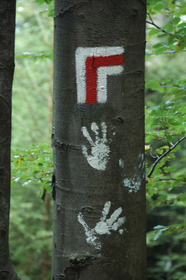 czerwony szlak