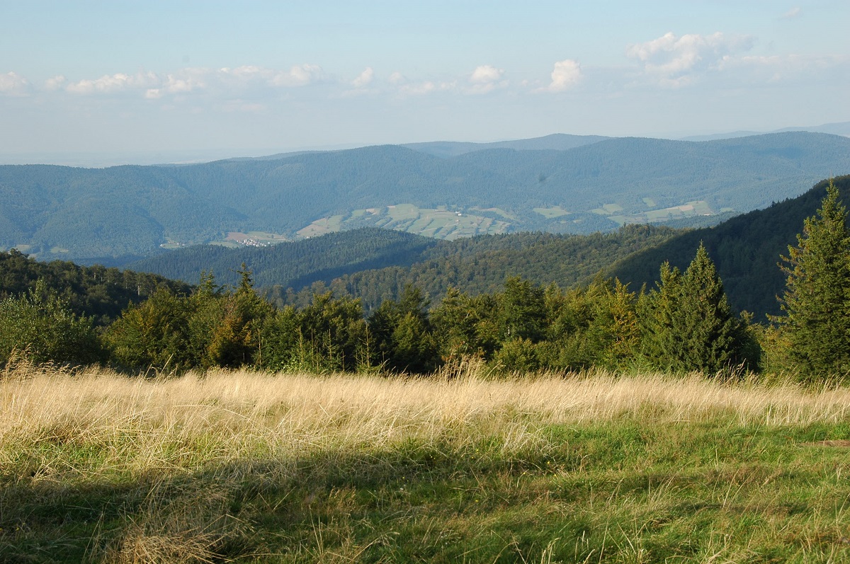 widok z Hali Łabowskiej